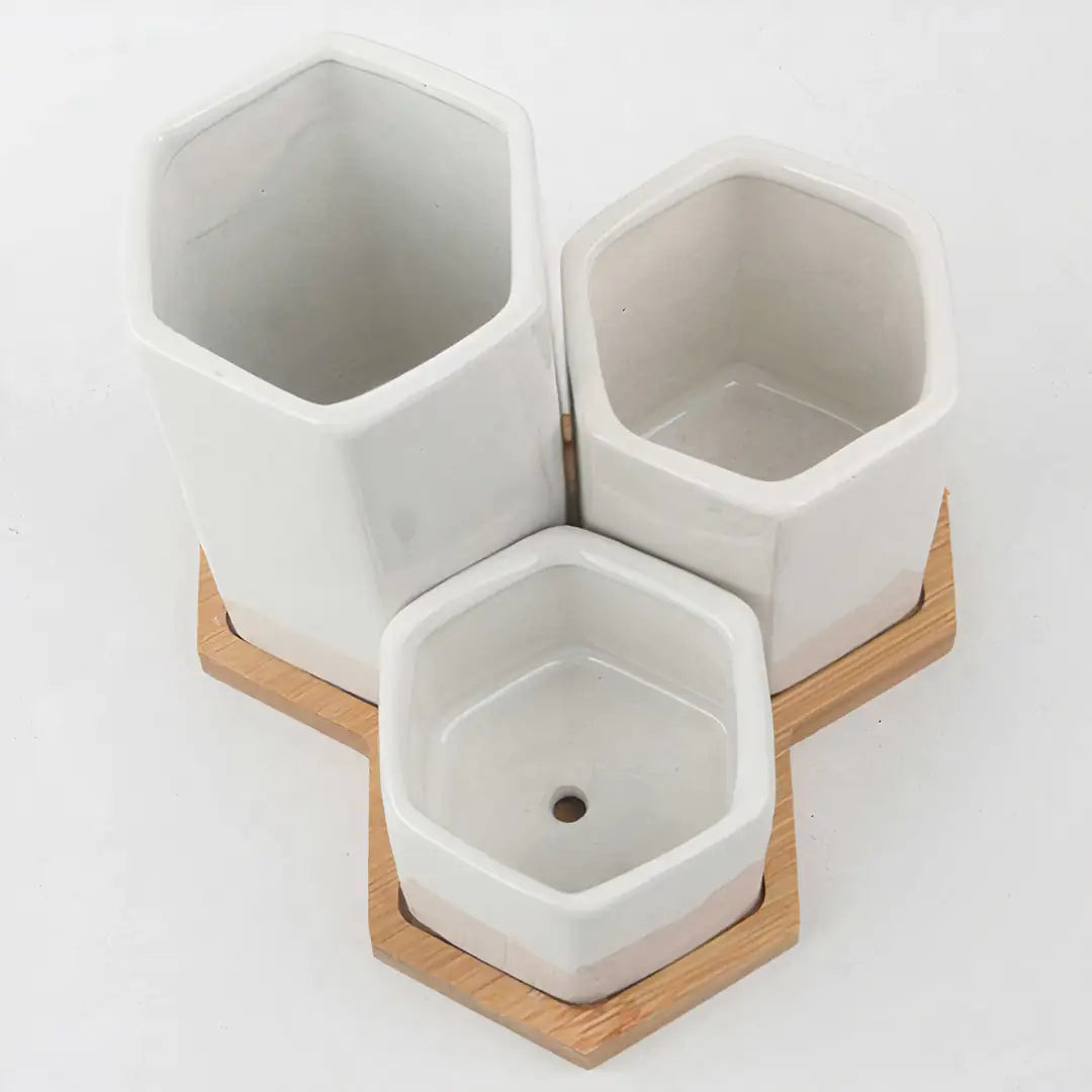 Jasmine Ceramic Planter