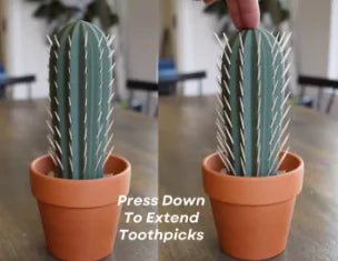 Potted Cactus Toothpick Dispenser