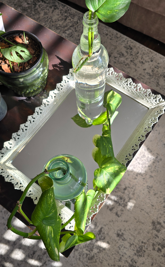 Vintage Metal Frame Table Mirror Tray