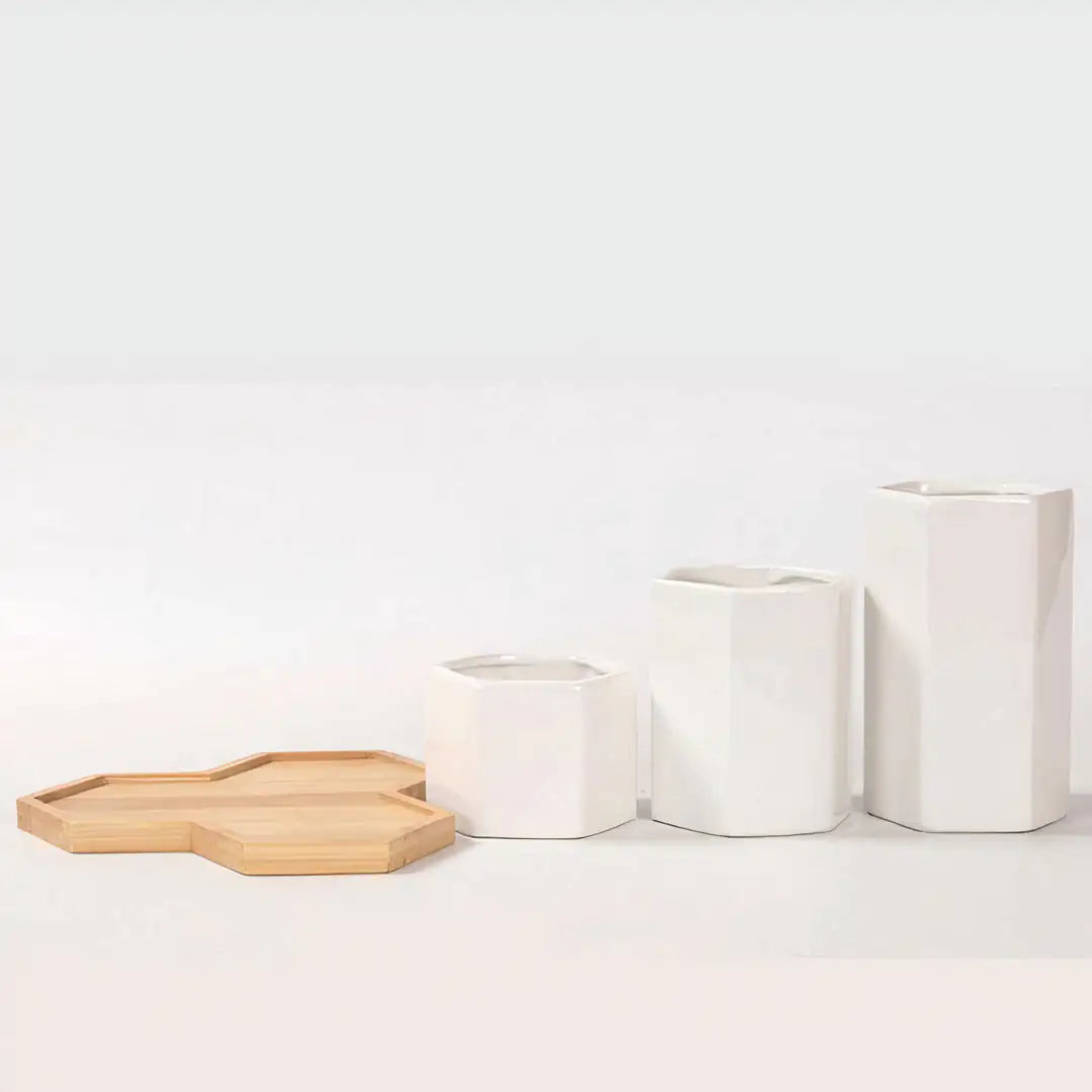 Jasmine Ceramic Planter
